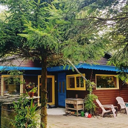 Het Houten Boshuisje Hattemerbroek Exteriör bild