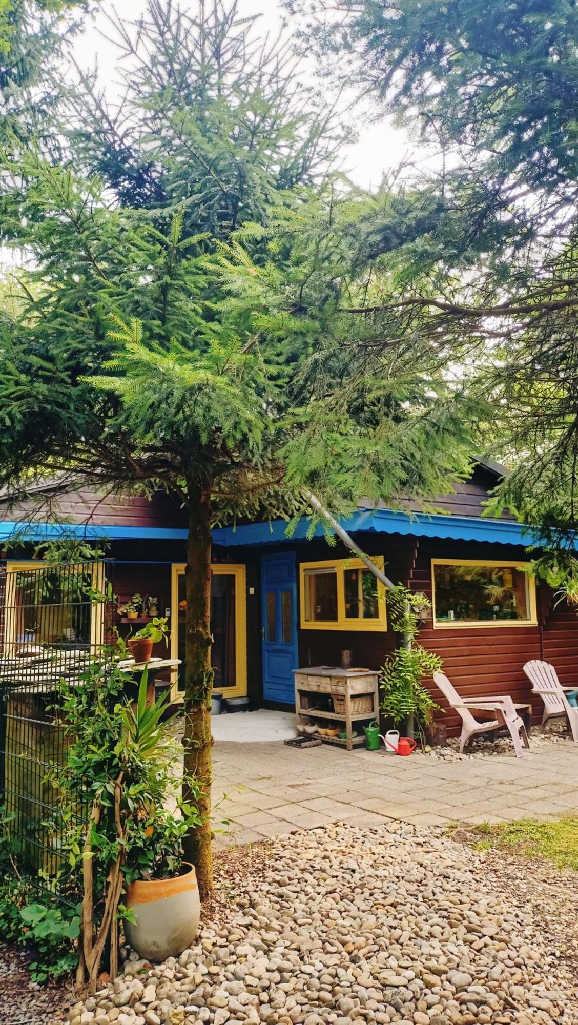 Het Houten Boshuisje Hattemerbroek Exteriör bild