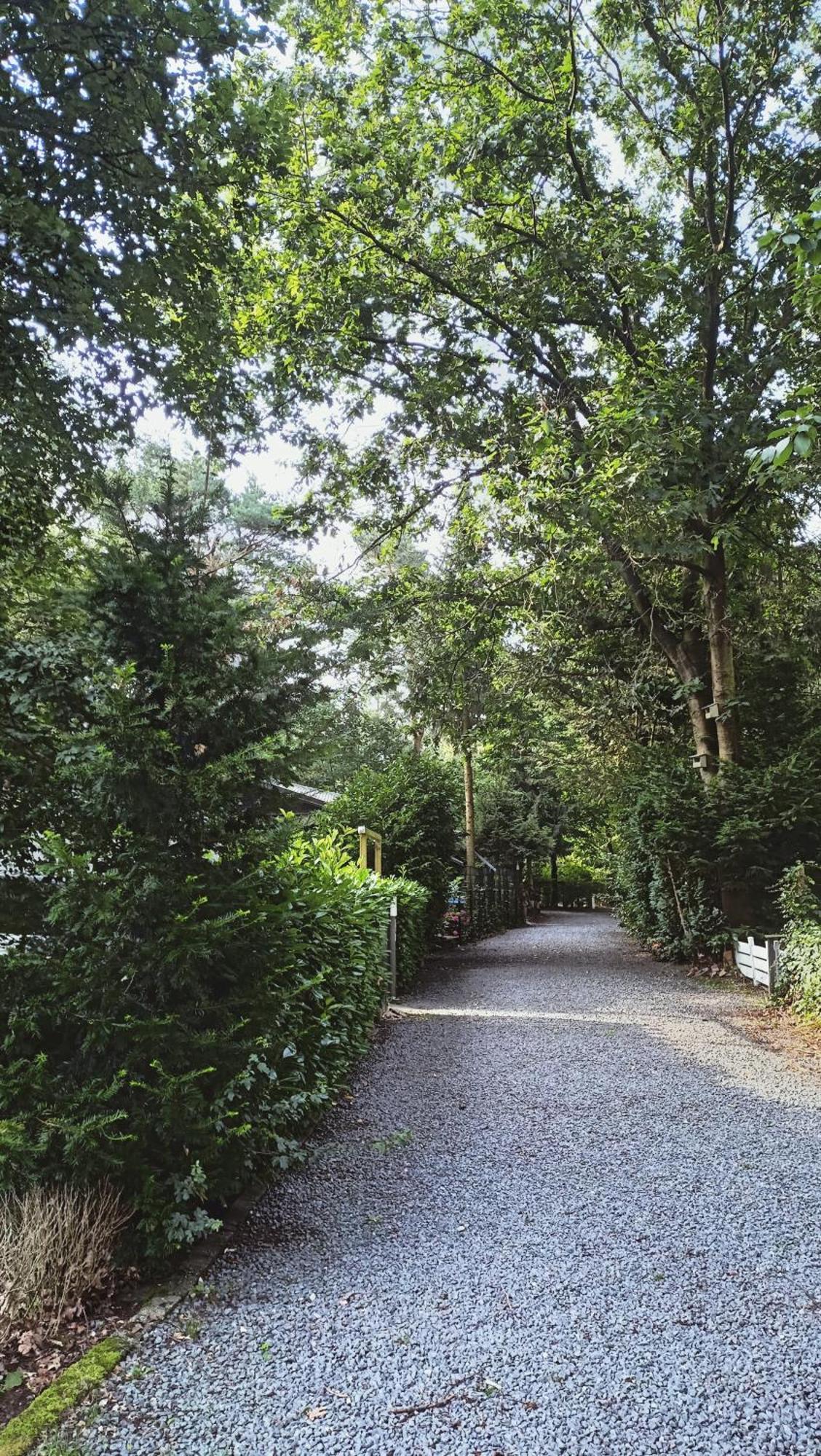 Het Houten Boshuisje Hattemerbroek Exteriör bild